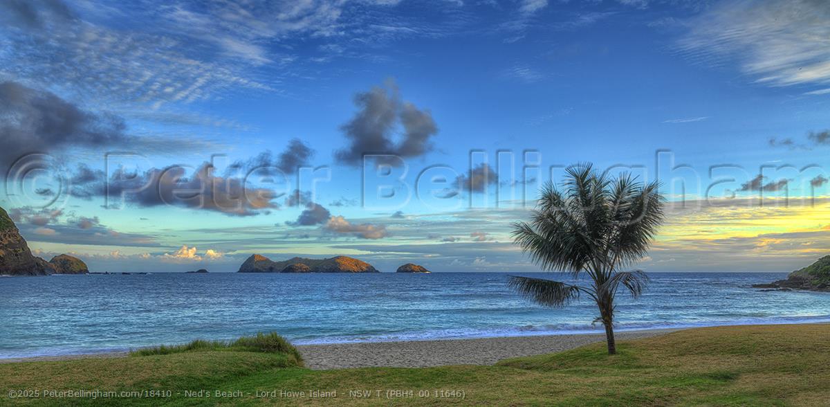 Peter Bellingham Photography Ned's Beach - Lord Howe Island - NSW T (PBH4 00 11646)